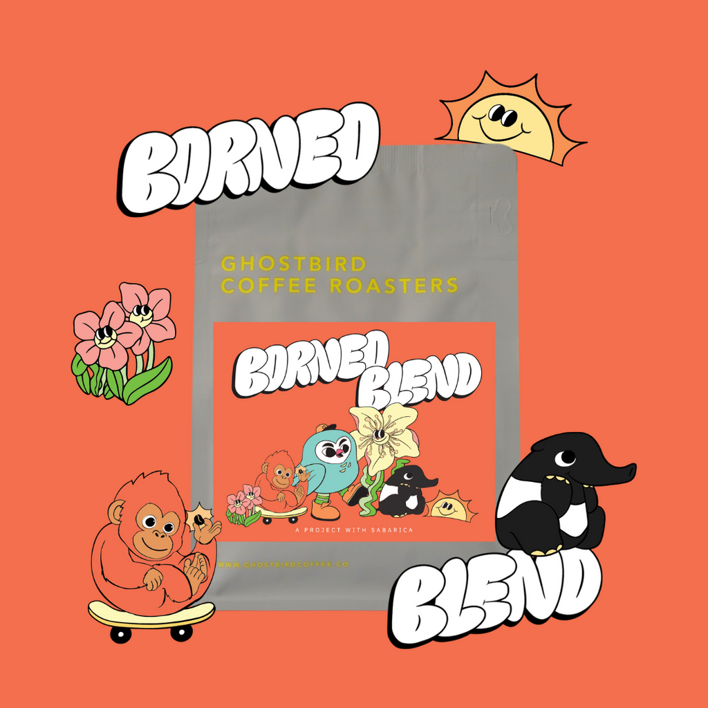 Borneo Blend (WS)