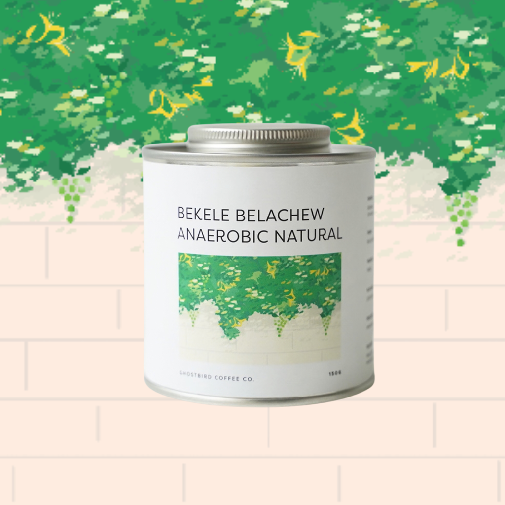 Ethiopia Bekele Belachew Anaerobic Natural