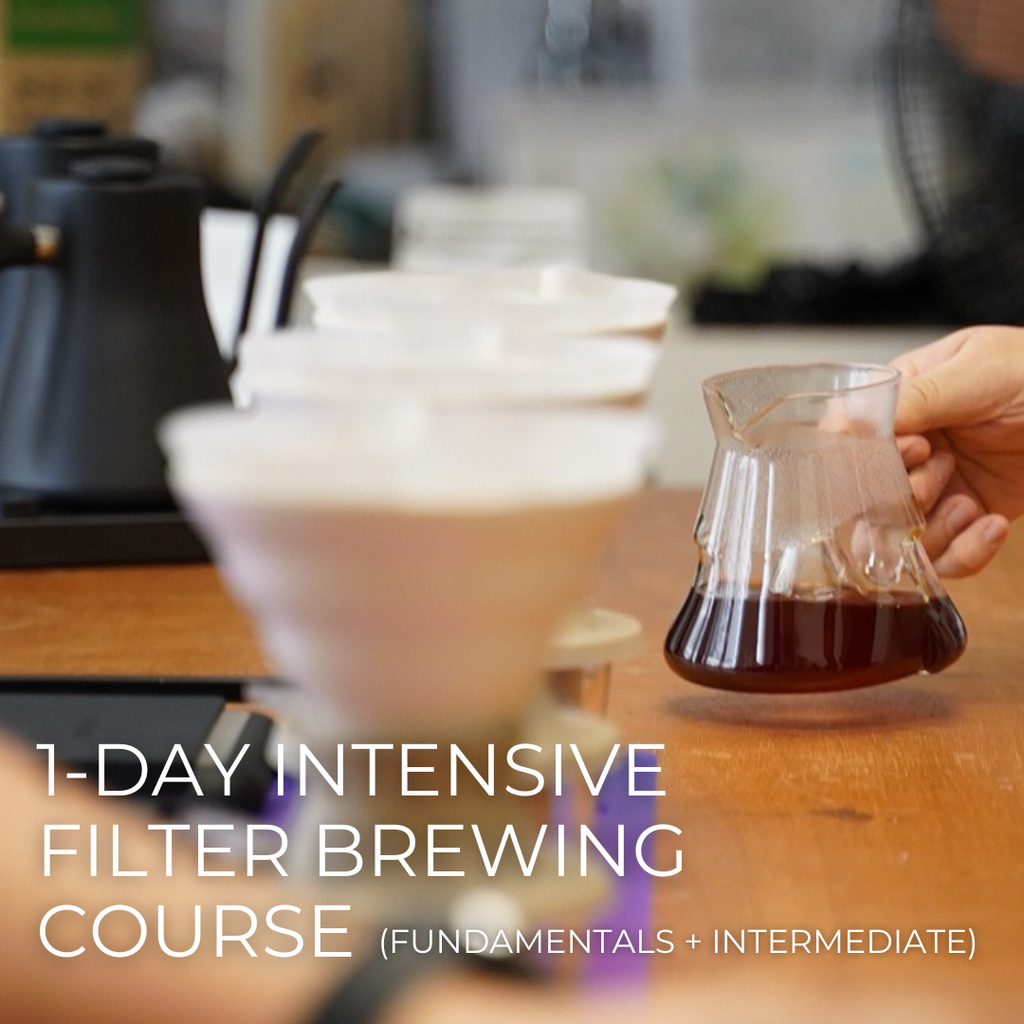 1-Day Intensive Filter Brewing Course (+ FREE coffee bean subscription)