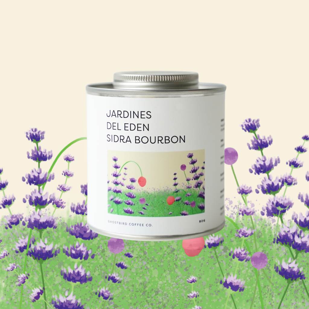 Colombia Jardines Del Eden Sidra Bourbon