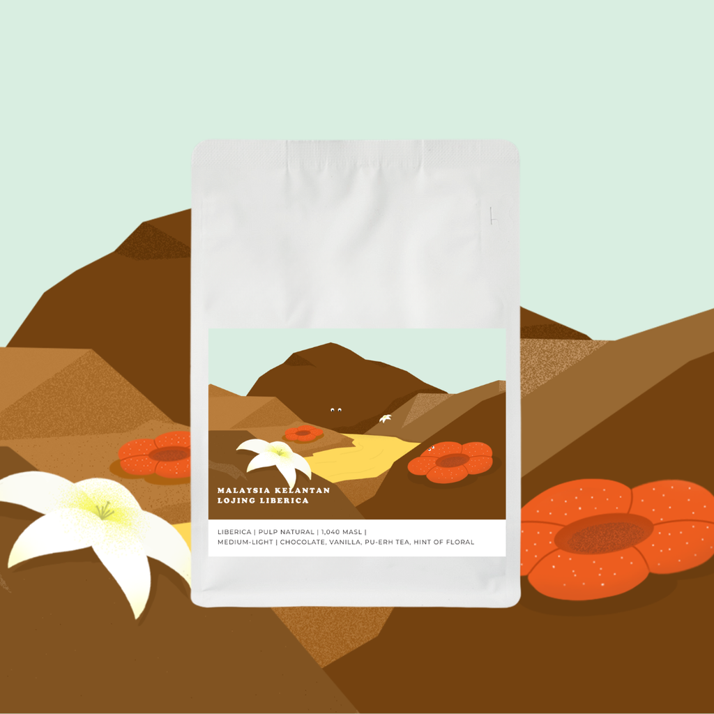 Malaysia Kelantan Lojing Liberica [Pulp Natural]