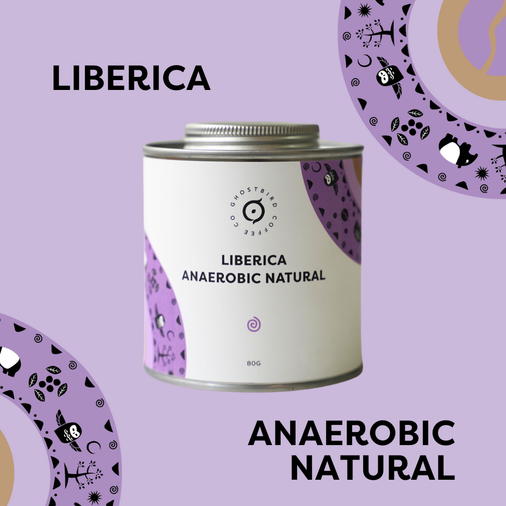 Malaysia Liberica Anaerobic Natural