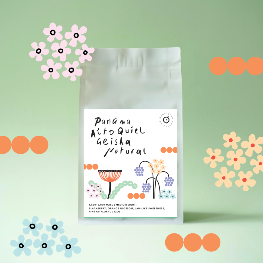 Panama Alto Quiel Geisha Natural