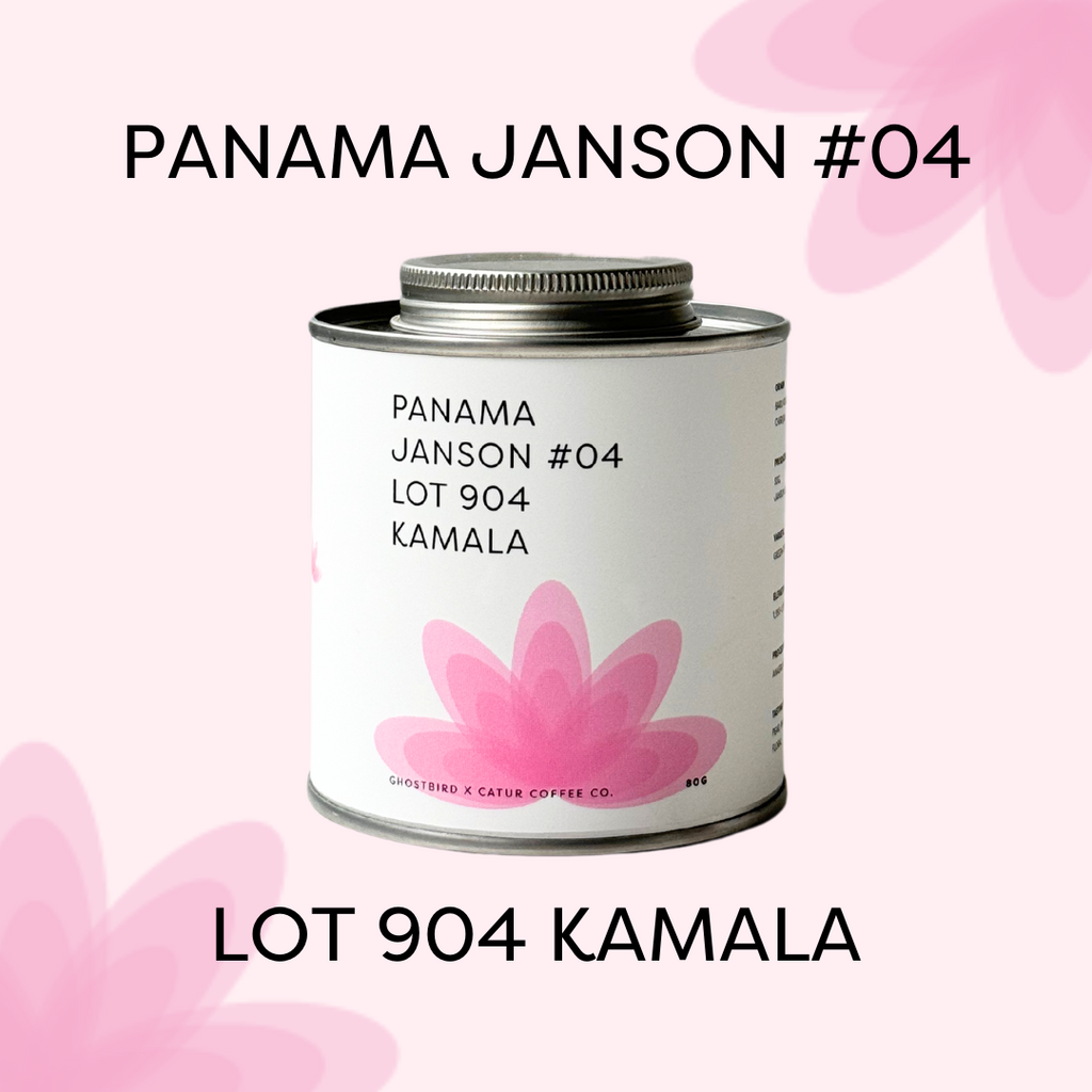 Panama Janson #04 Lot 904 Kamala