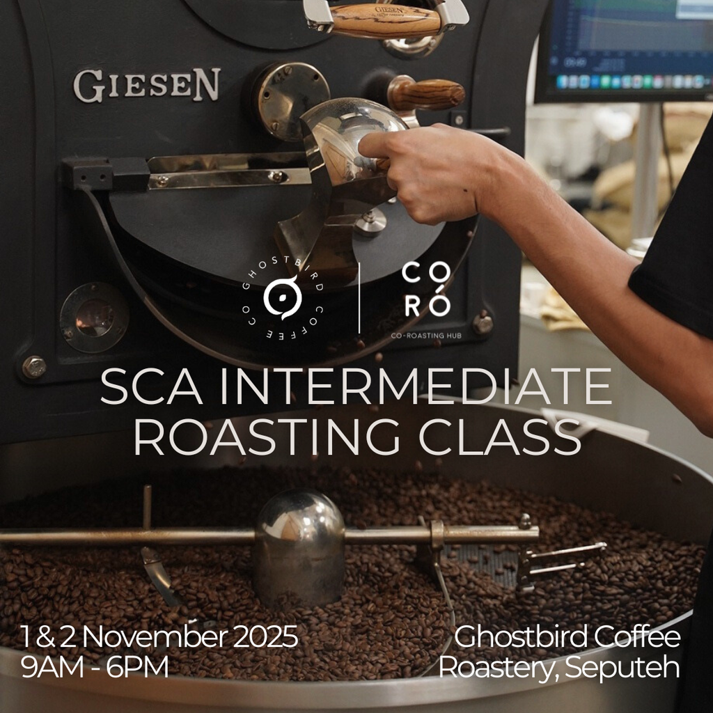 SCA Intermediate Roasting Class